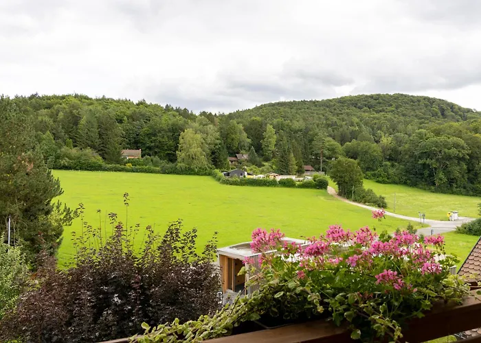 Hotel Lindenhof Hubmersberg 4*