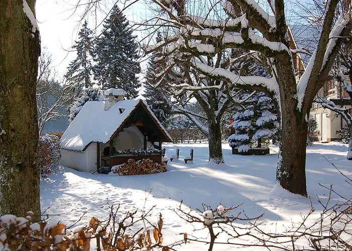 Hotel Lindenhof Hubmersberg 4*