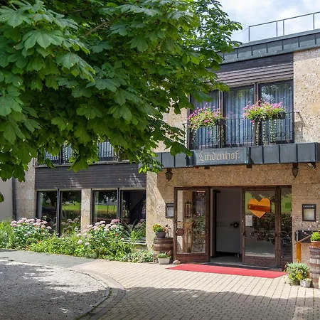 Hotel Lindenhof Hubmersberg 4*