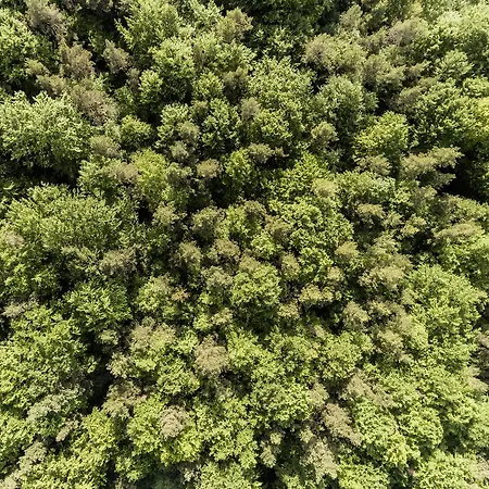 Hotel Lindenhof Hubmersberg Pommelsbrunn